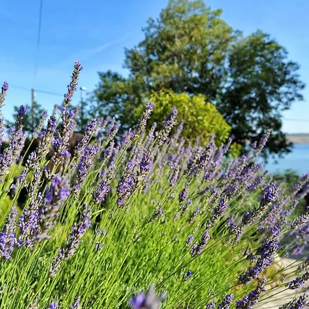 Apartment Apartments By The Sea Seline - Paklenica - 6564 Starigrad Paklenica