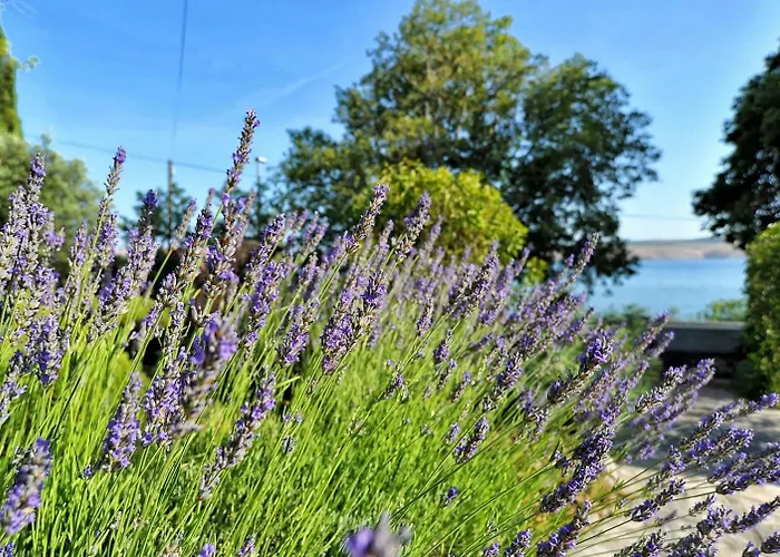 Apartment Apartments By The Sea Seline - Paklenica - 6564 Starigrad Paklenica